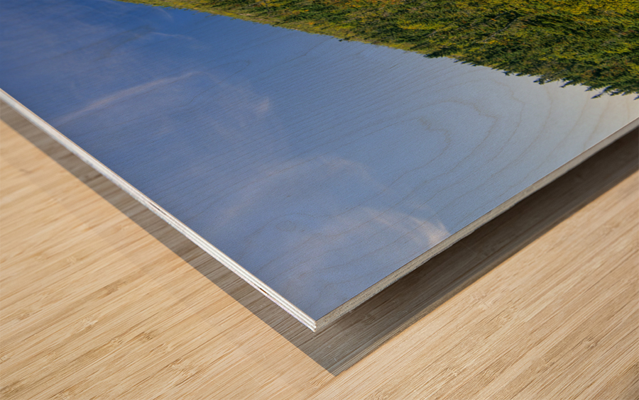 Glen Boulder - White Mountains New Hampshire Wood print