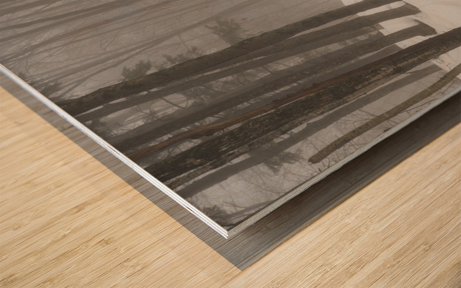 Flume Gorge - Lincoln New Hampshire Wood print