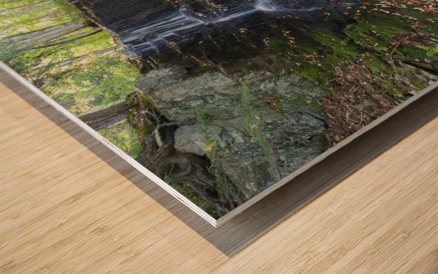 Rollo Fall - Randolph New Hampshire Wood print