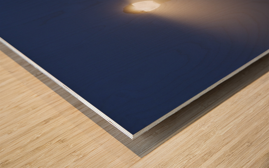 Camden Harbor - Camden Maine Wood print