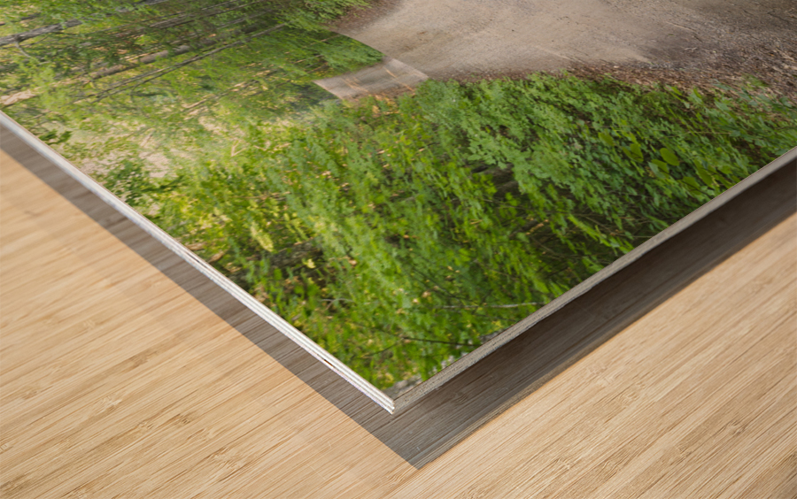 Sandwich Notch Road - Sandwich New Hampshire  Wood print