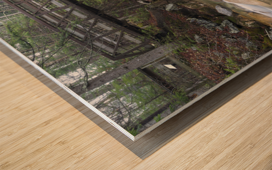 Pemigewasset River - Franconia Notch State Park New Hampshire U Wood print