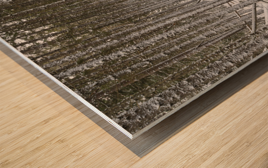 Crawfords Purchase New Hampshire Wood print