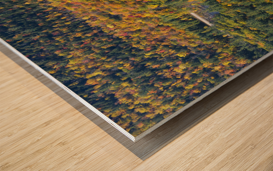 Boulder Loop Trail - White Mountains New Hampshire Wood print