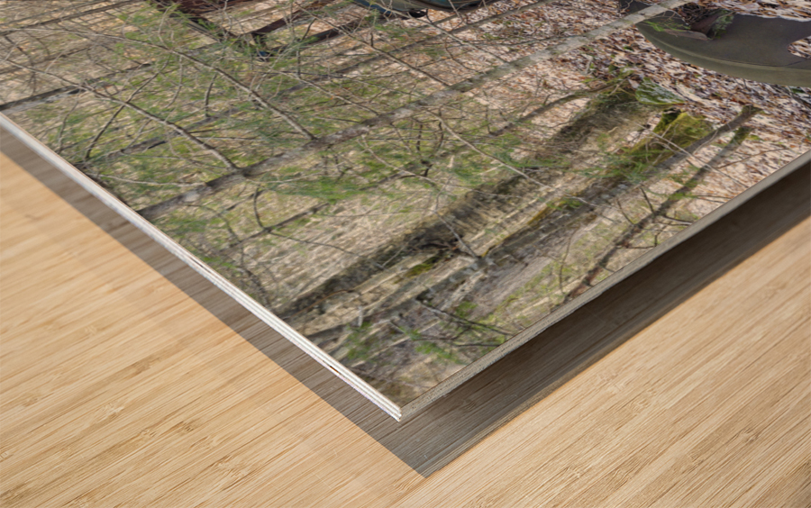 Tunnel Brook - Benton New Hampshire Wood print