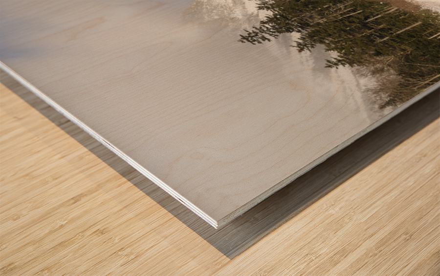 Pemi Trail - Franconia New Hampshire Wood print