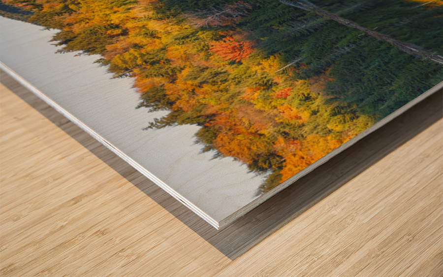 Rocky Gorge Scenic Area - White Mountains New Hampshire Wood print