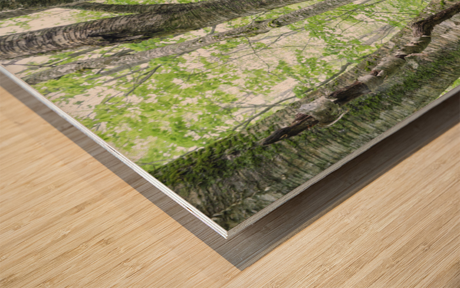 Kinsman Notch - White Mountains New Hampshire Wood print