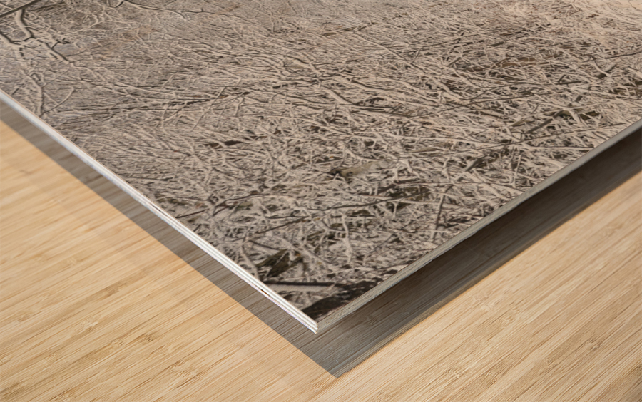 Franconia Bike Path - Franconia Notch New Hampshire Wood print